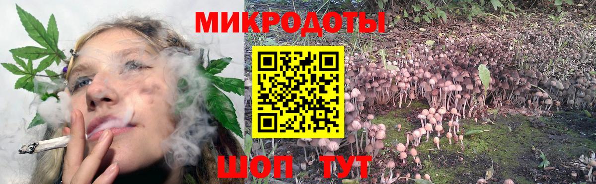 Славянск-на-Кубани  Псилоцибиновые грибы MAGIC MUSHROOMS  Вход с VPN  Галлюциногенные грибы MAGIC MUSHROOMS 
